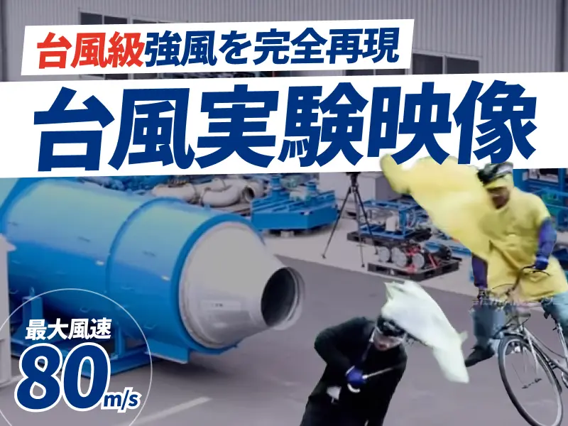 実験動画
