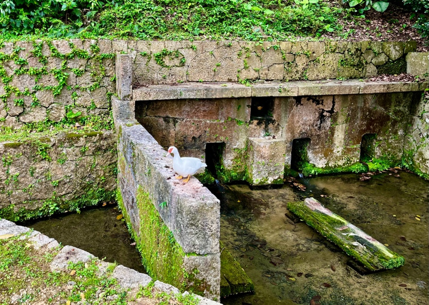 坤輿万国全図沖縄の湧き水 “チュンナーガー”写真７